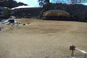 Парк Мидориномура, Япония - веб камера