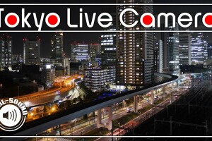Обзорный вид на Токио, Япония - веб камера