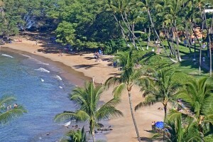Пляж Уэйлея Бич, Мауи, Гавайские острова - веб камера