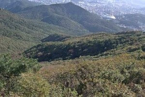 Панорама Пусана, Южная Корея - веб камера