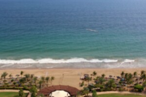 Пляж Аль Ака (Al Aqah Beach), Фуджейра, ОАЭ - веб камера