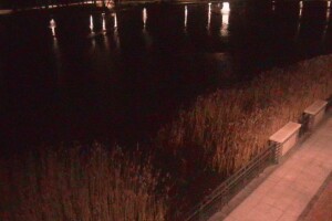 Озеро Тихое, Светлогорск - веб камера