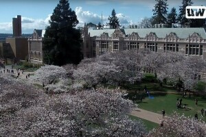 Вашингтонский университет, Сиэтл, штат Вашингтон - веб камера