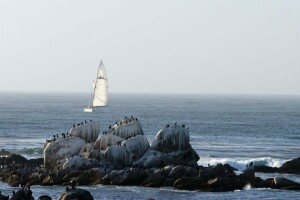 Залив Monterey Bay, Монтерей, Калифорния - веб камера