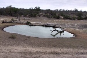 Озеро в заповеднике Джума, ЮАР - веб камера
