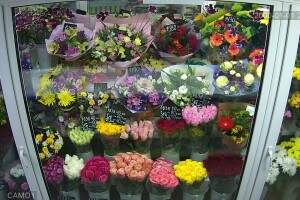 Цветочный восторг, Челябинск - веб камера