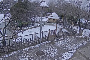 Зоопарк Будапешта, Венгрия - веб камера