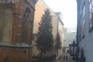 Улица Яню, Рига, Латвия - веб камера