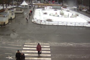 Центральная клумба, Парк Сокольники, Москва - веб камера