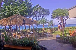 Ресторан Hula Grill, Каанапали, Мауи, Гавайские острова - веб камера