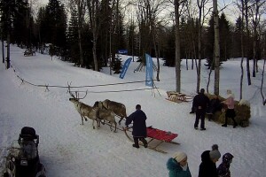 Оленья ферма, Горнолыжный курорт Газпром, Сочи - веб камера