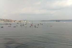 Залив Роуз (Rose Bay), Сидней, Австралия - веб камера