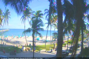 Пляж отеля Wyndham Deerfield Beach Resort, Дирфилд-Бич, Флорида - веб камера