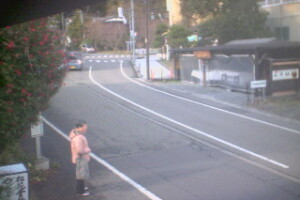 Вид на улицу, Цубамэ, Япония - веб камера