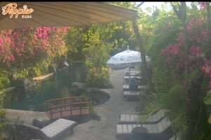Бар-ресторан Poppies, Кута, Бали - веб камера