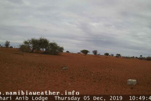 Саванна - панорама, Намибия - веб камера