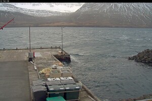 Порт Мьоуифьордюра, Исландия - веб камера